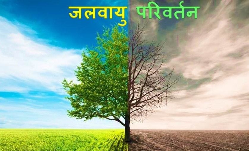 एक रुपया लगाओ, दस वापस पाओ; जलवायु संकट में भी है कमाई का मौका!