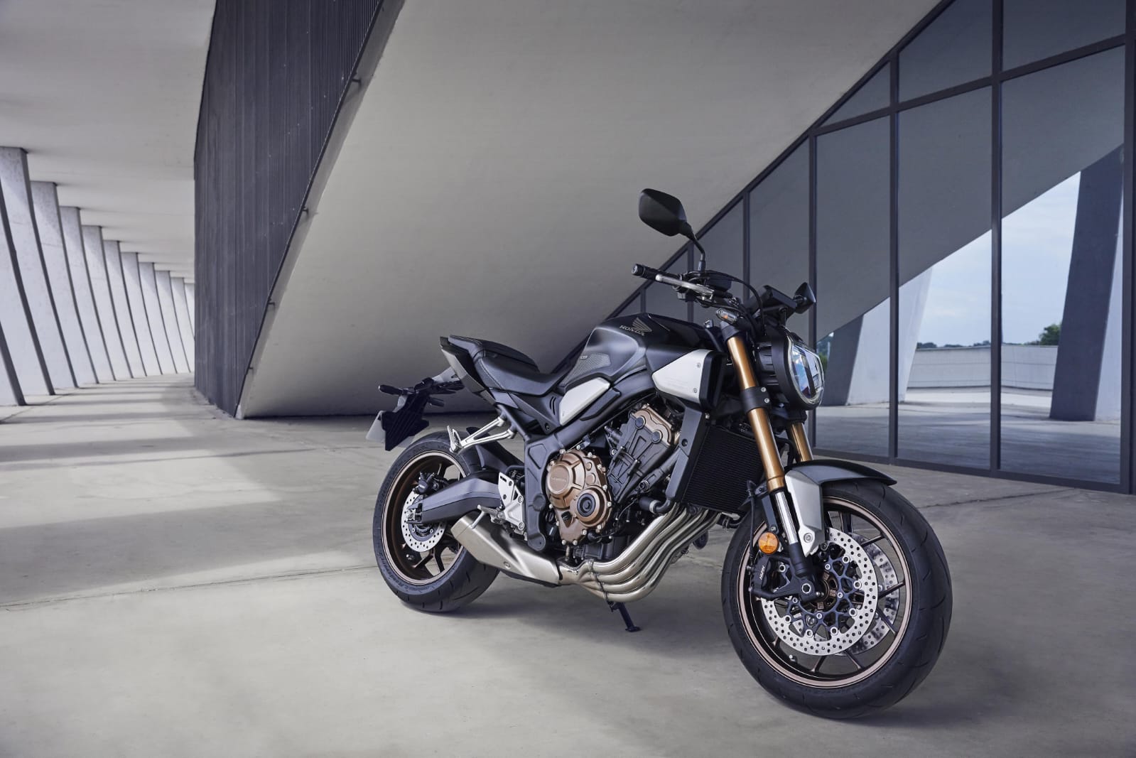 WhatsApp Image 2025-01-16 at 6.22.07 PM