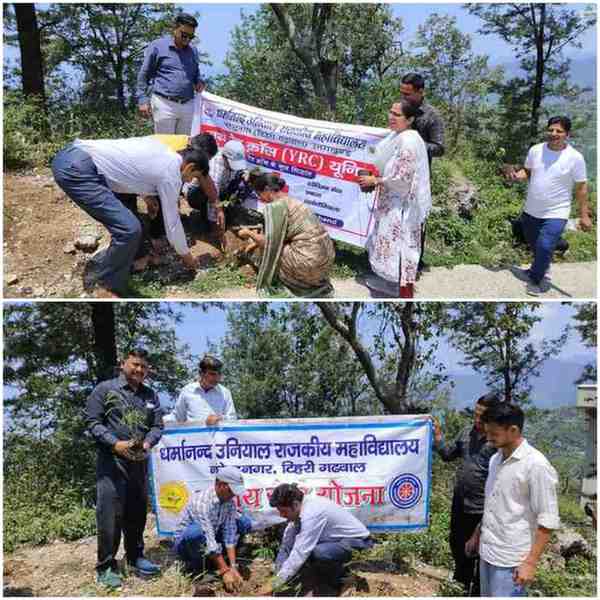 विभिन्न प्रजाति के पौधों का रोपण कर मनाया पर्यावरण दिवस