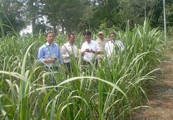 Kashipur Sugarcane Inspection