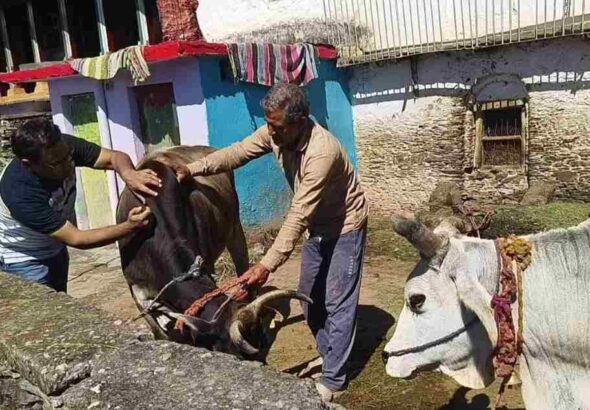 WhatsApp Image 2026-09-19 at 10.03.45 PM